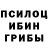 Галлюциногенные грибы прущие грибы Farid Agamali