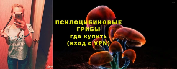экстази Краснослободск