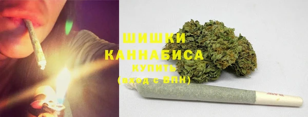 индика Новокубанск