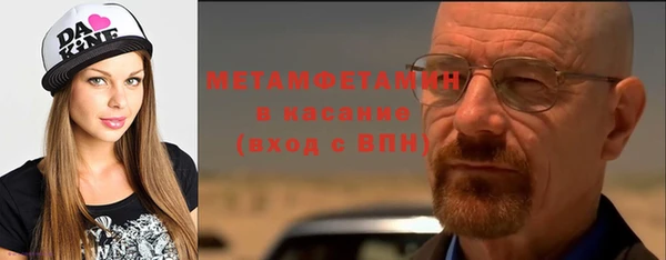 прущие грибы Корсаков