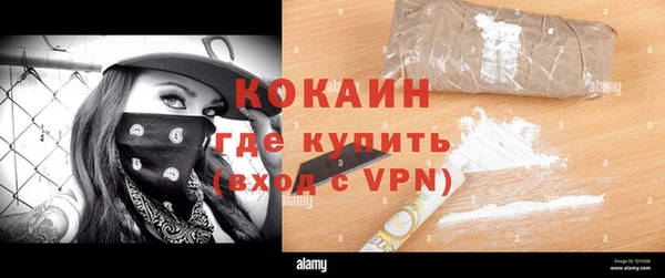 прущие грибы Новодвинск