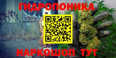 прущие грибы Севастополь