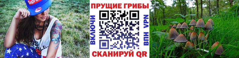 мориарти формула  Рыбинск  Псилоцибиновые грибы мицелий 