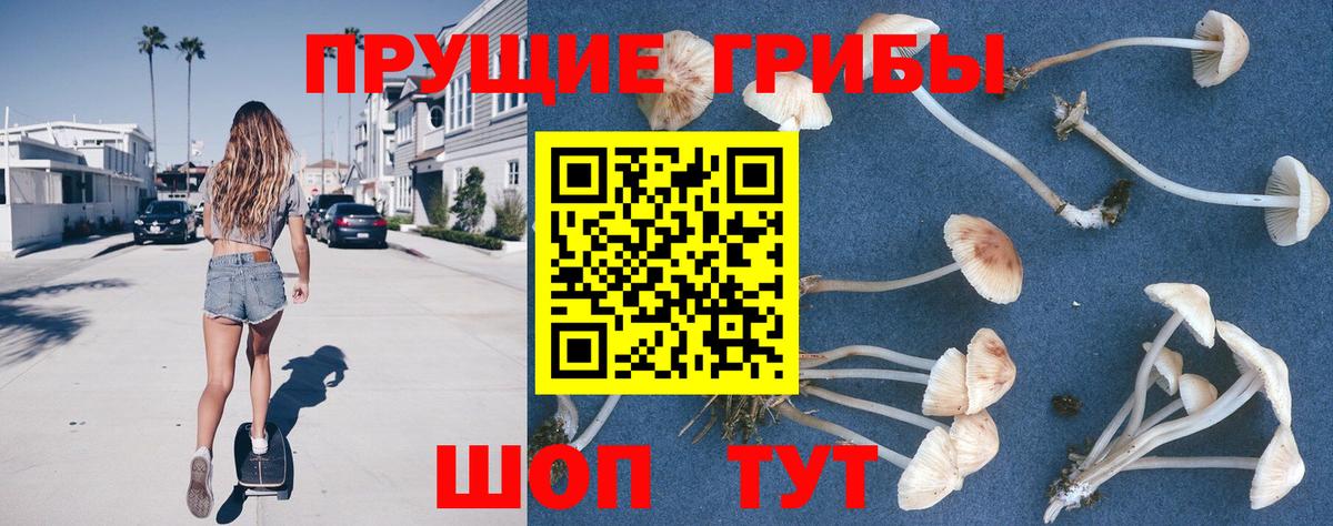 Галлюциногенные грибы Psilocybine cubensis Рыбинск